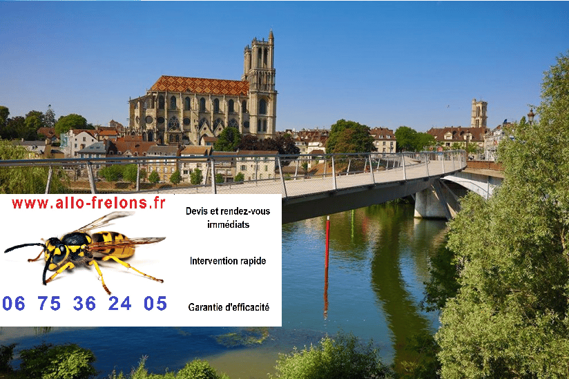 image 1 - Société frelons Yvelines 78 et guêpes