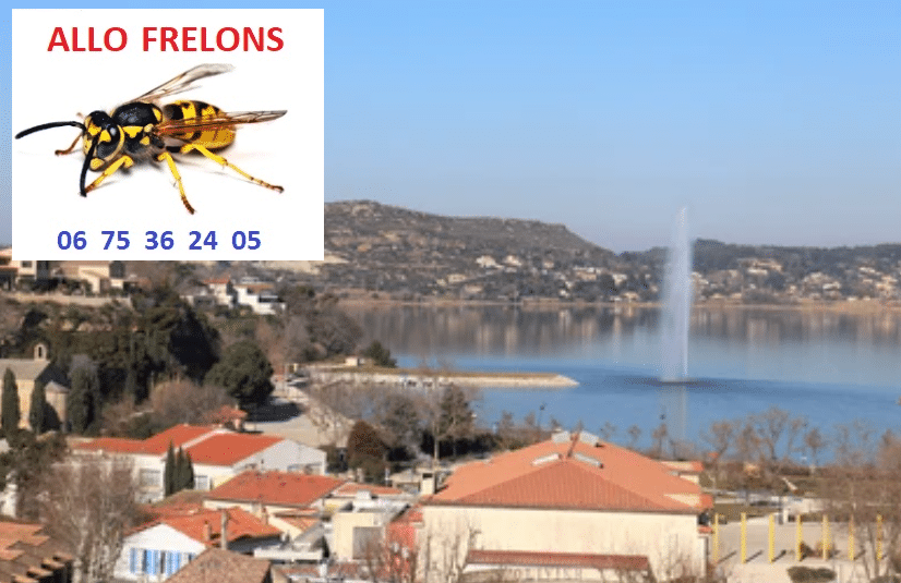 image 15 - Entreprise de destruction des nids de frelons et de guêpes, Bouches du Rhône