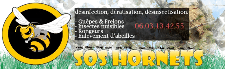 image 19 - Elimination des nids de guêpes et frelons à Grasse, 06130