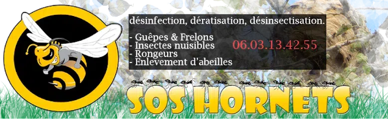 image 19 - Elimination des nids de guêpes et frelons à Grasse, 06130