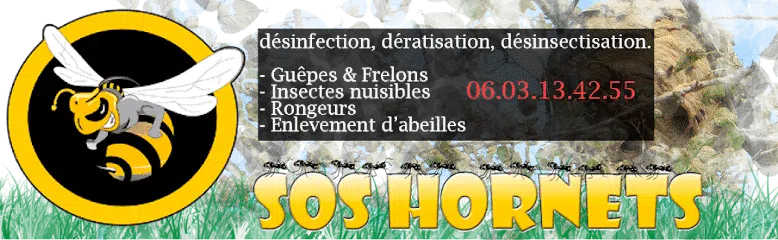 image 6 - Destruction guêpes frelons Montauroux 83440