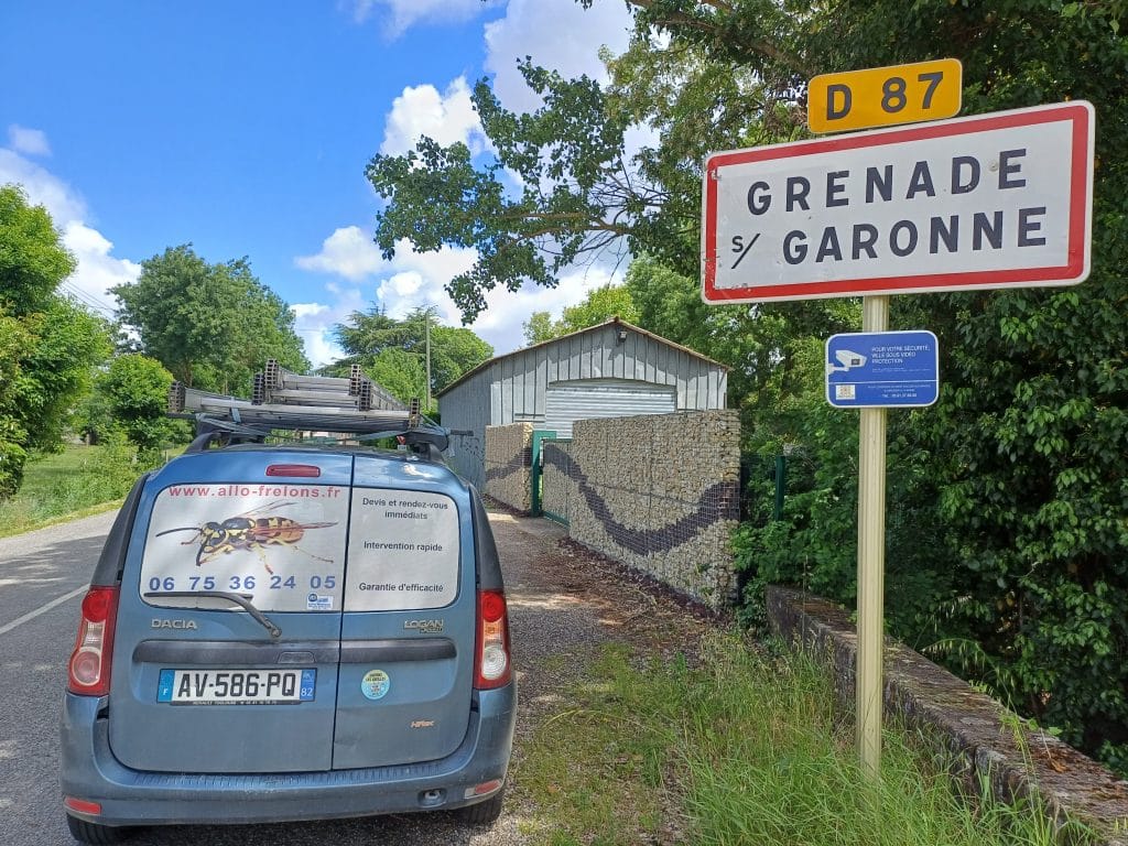 Grenade sur Garonne 31 1024x768 - Destruction de nids de frelons et de guêpes à Grenade, 31330
