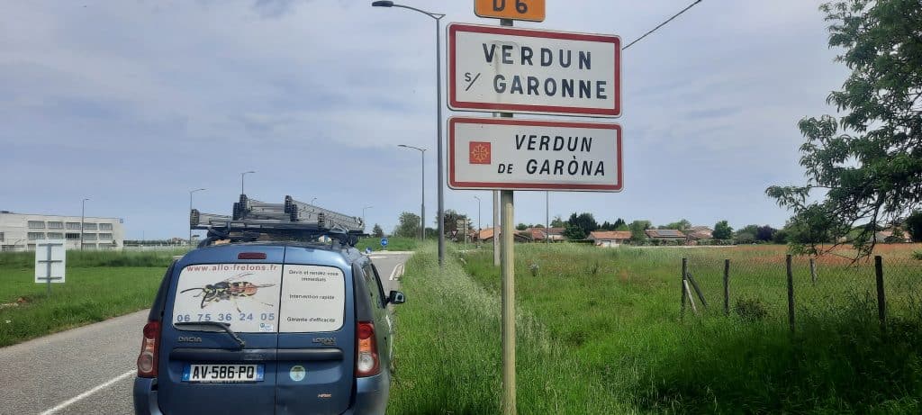 Verdun sur Garonne 82 1024x461 - Destruction frelons guêpes Verdun-sur-Garonne