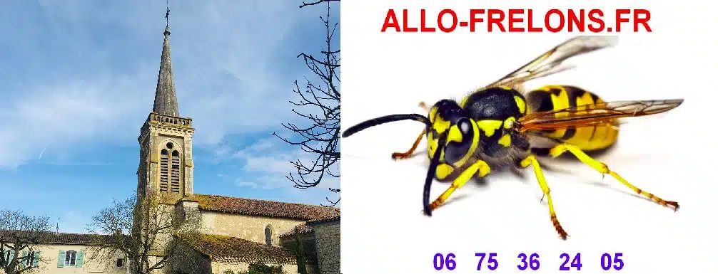 castelnau darbieu - Castelnau d'Arbieu, 32500. Élimination des nids de guêpes et frelons