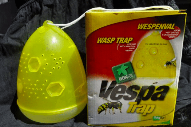 Le piège à guêpes, Vespa Trap