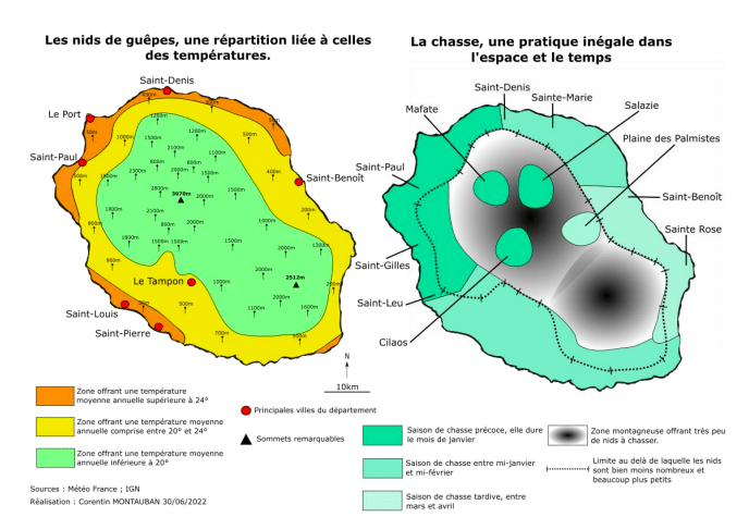 Répartition des populations de guêpes à la Réunion