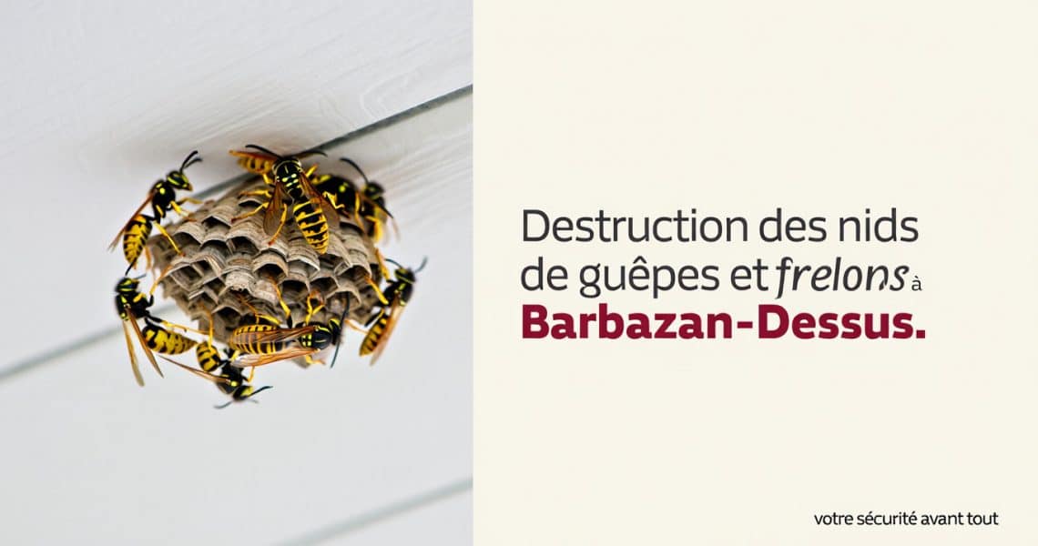 Lutte efficace contre les nids de guêpes et frelons à Barbazan-Dessus 65 : ALLO FRELONS Lutte efficace contre les nids de guêpes et frelons à Barbazan-Dessus 65 : ALLO FRELONS