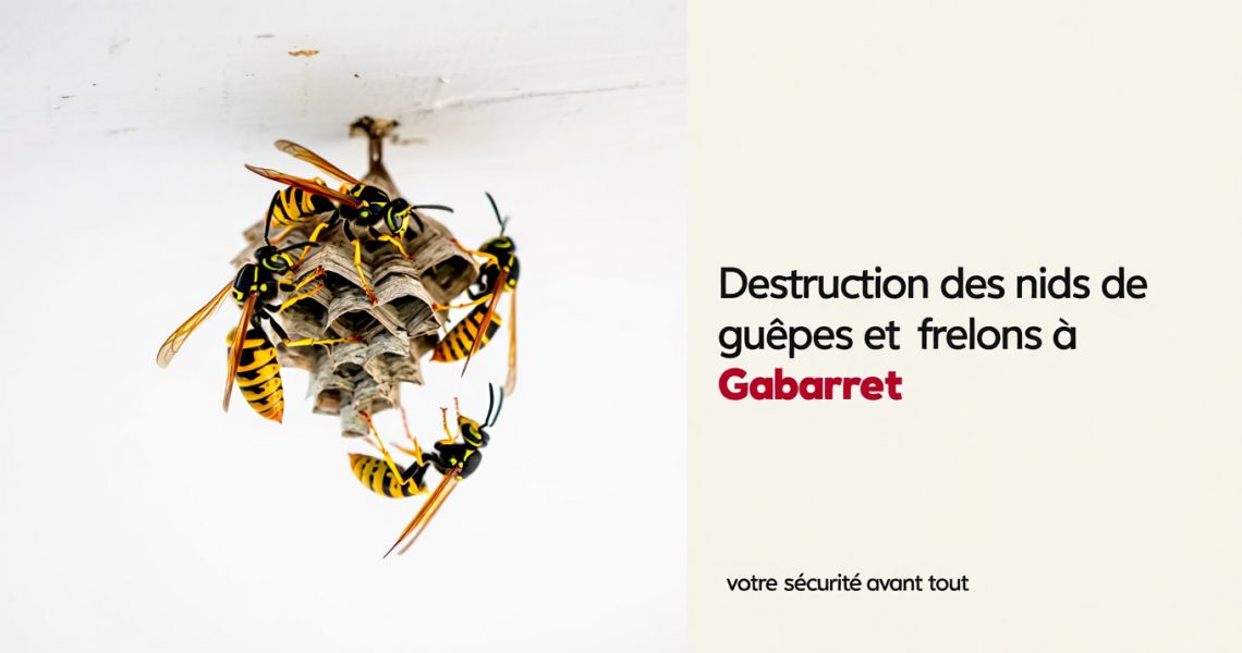 Destruction des nids de guêpes et de frelons à Gabarret, Landes : faites appel à ALLO FRELONS Destruction des nids de guêpes et de frelons à Gabarret, Landes : faites appel à ALLO FRELONS