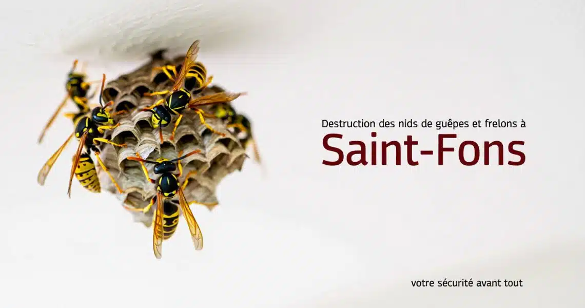 &Eacute;limination des nids de gu&ecirc;pes et frelons &agrave; Saint-Fons, Rh&ocirc;ne : faites appel &agrave; ALLO FRELONS