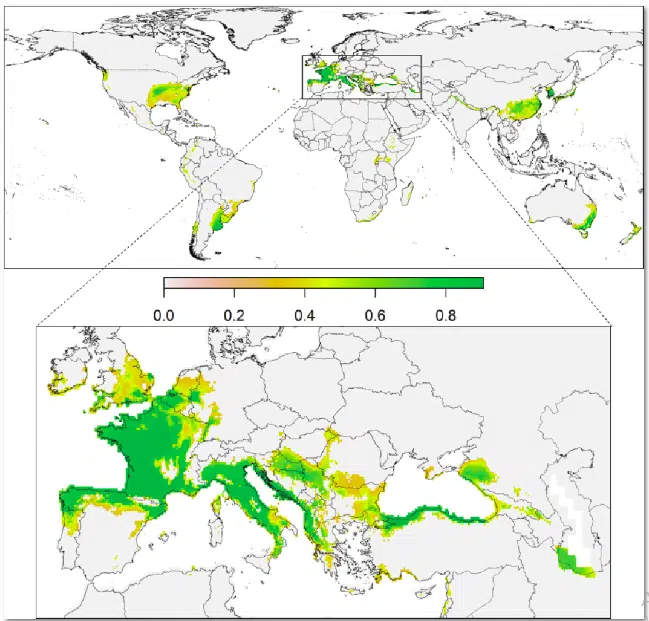 image 21 - Détection précoce des frelons asiatiques dans des nouvelles régions: VespAI