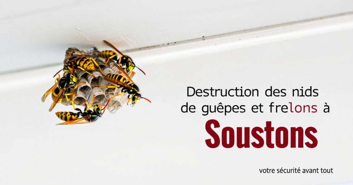 Destruction des nids de gu&ecirc;pes et frelons &agrave; Soustons&nbsp;: ce qu&rsquo;il faut savoir dans les Landes