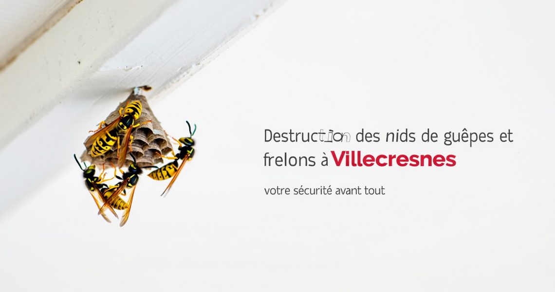 Entreprise de destruction des nids de gu&ecirc;pes et frelons &agrave; Villecresnes 94, ALLO FRELONS