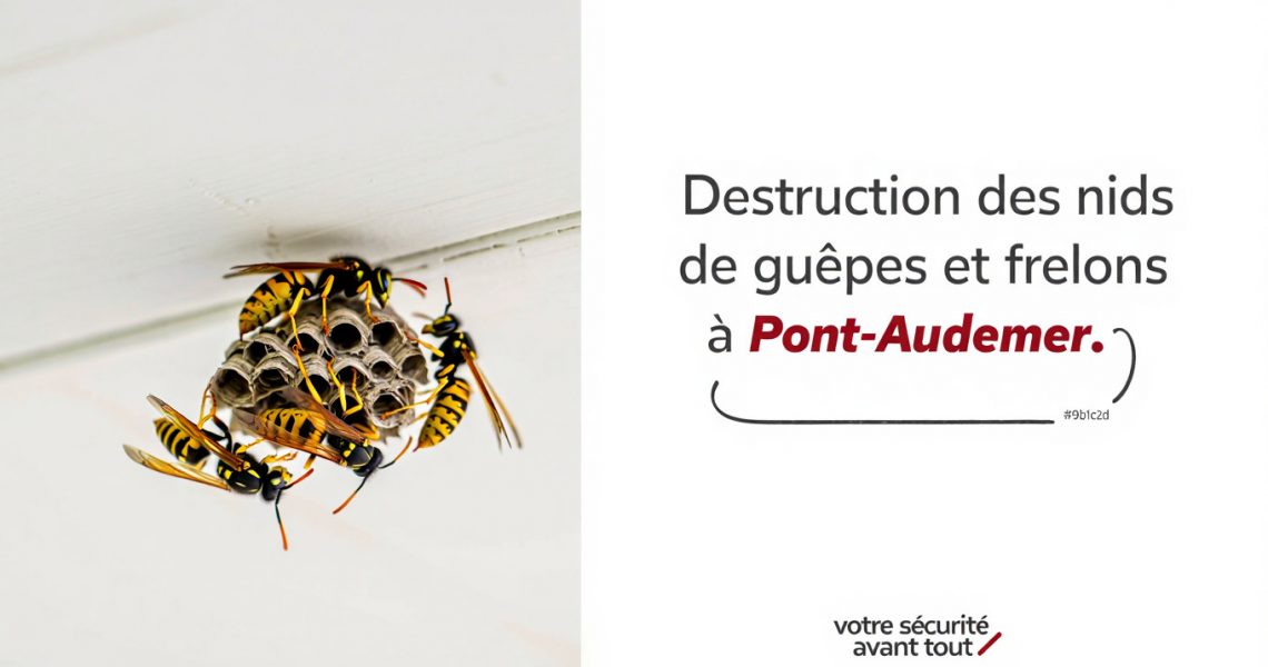Entreprise de destruction des nids de gu&ecirc;pes et frelons &agrave; Pont-Audemer 27, ALLO FRELONS