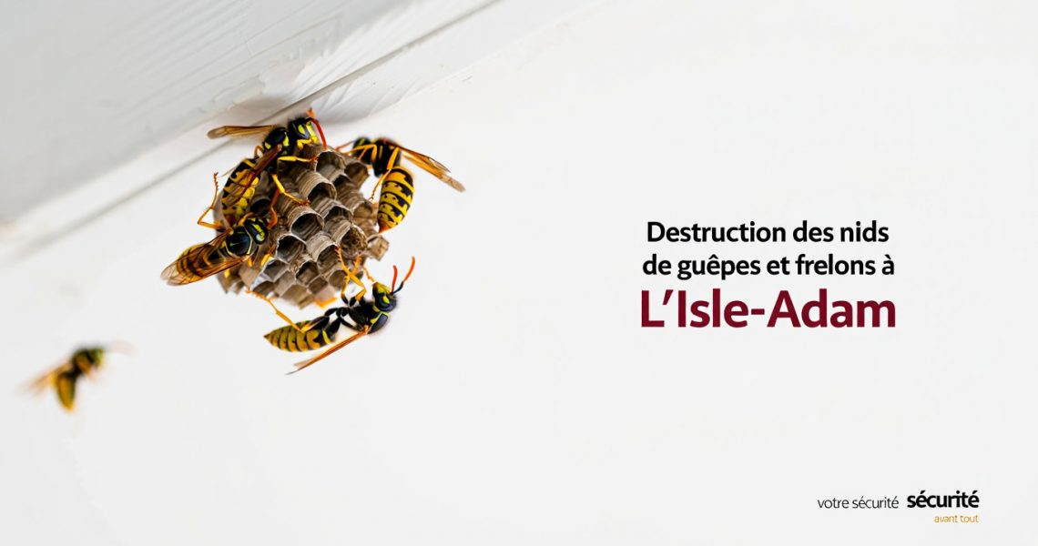 Entreprise de destruction des nids de gu&ecirc;pes et frelons &agrave; L'Isle-Adam 95, ALLO FRELONS